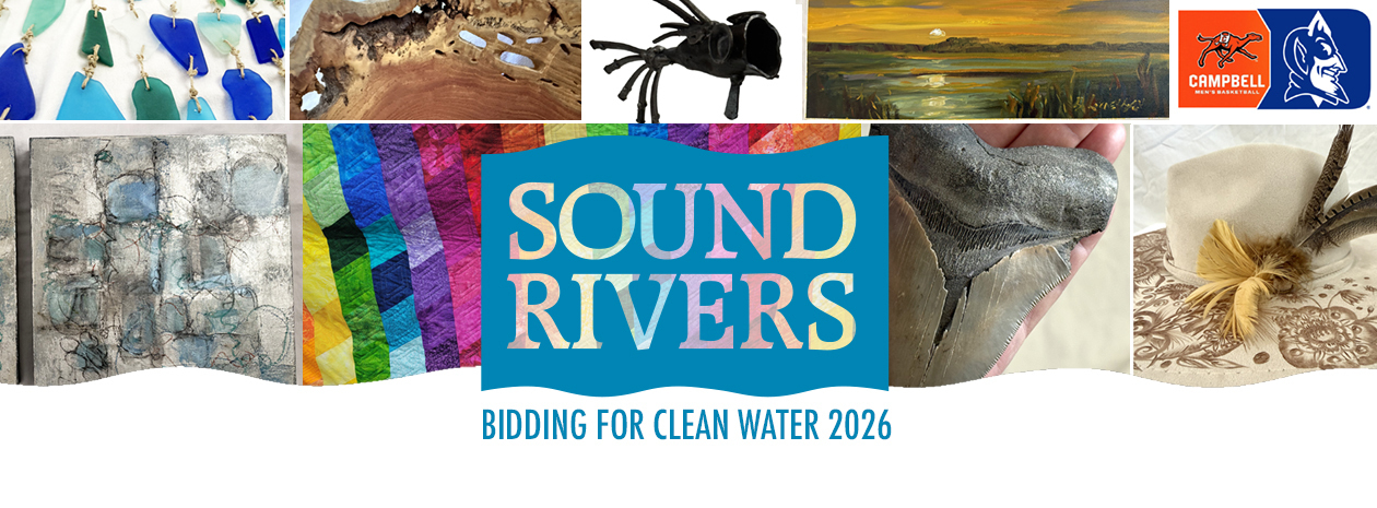 Sound Rivers Auction